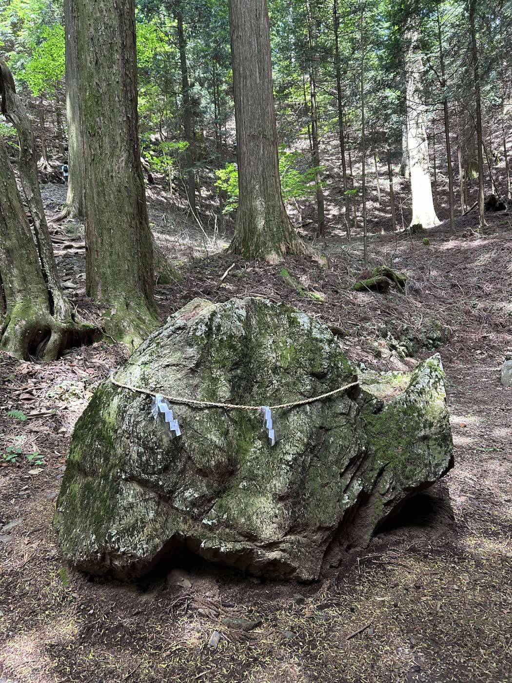 檜原村に残る、注連縄の張られた大岩